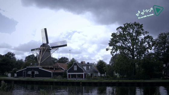 فيلم Another Forever 2016 مترجم