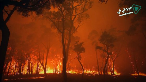 فيلم Burning 2021 مترجم