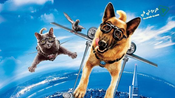 فيلم Cats & Dogs: The Revenge of Kitty Galore 2010 مترجم