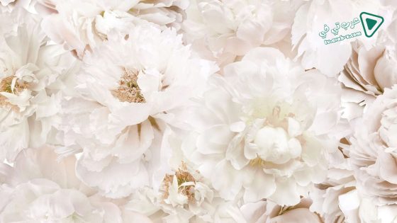 فيلم Deadly Vows 2017 مترجم