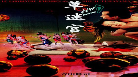 فيلم Grass Labyrinth 1979 مترجم