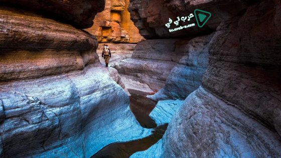 فيلم Into the Grand Canyon 2019 مترجم