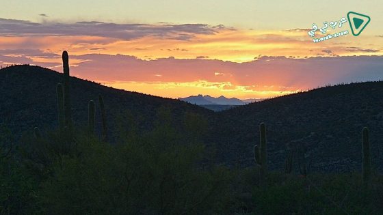 فيلم Misfortune 2016 مترجم