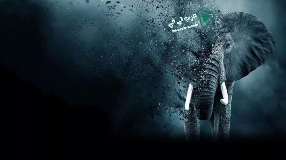فيلم The Ivory Game 2016 مترجم