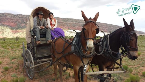 فيلم The Miller Prediction 2016 مترجم