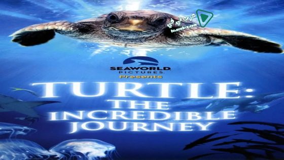 فيلم Turtle: The Incredible Journey 2009 مترجم
