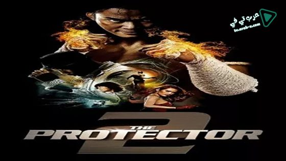 فيلم The Protector 2 2013 مترجم